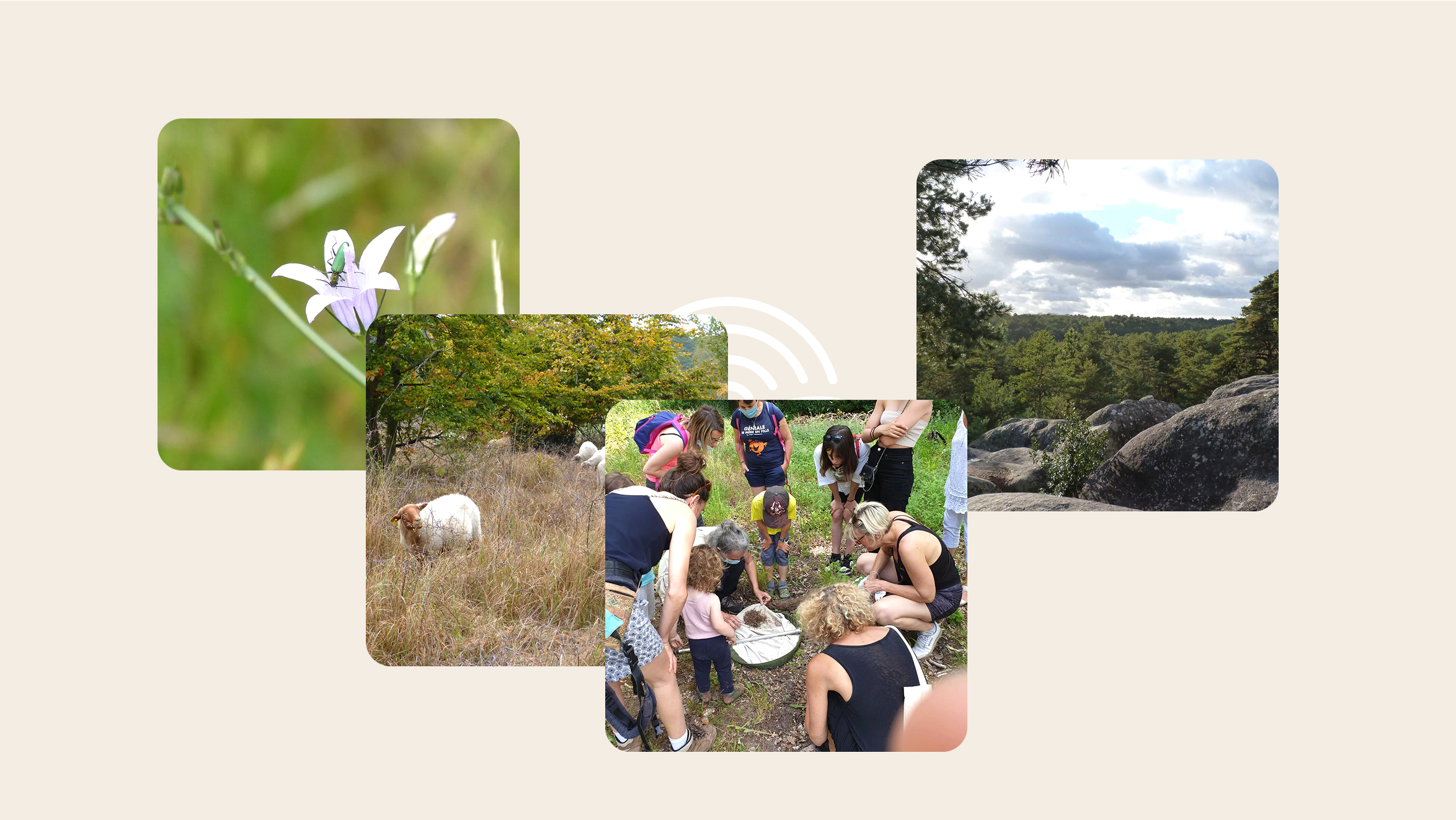 Biosphere_11